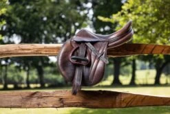 LeMieux Vector Balance Stirrup -Lemieux 45d66564 63f9 48e0 ae4f 7aa7d351171b