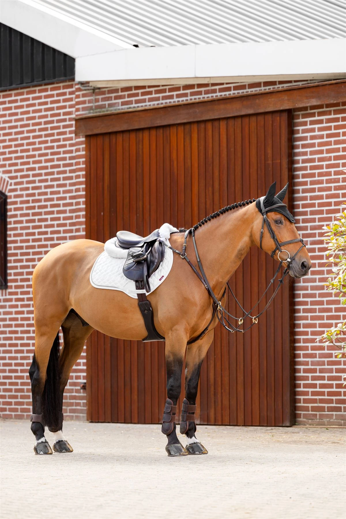 LeMieux Crystal Suede Close Contact Pad 22 LeMieux Crystal Suede Close Contact Pad - Image 20