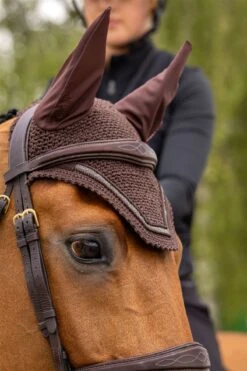 LeMieux Crystal Fly Hood 30 LeMieux Crystal Fly Hood -Lemieux 4719c6ec dc16 4dec 9e4b 75df64bda114 83b6177e f30e 42d0 aa62 faa1e48d1fd3