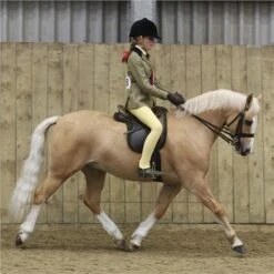 LeMieux Gel-Grip Showing Numnah 9 LeMieux Gel-Grip Showing Numnah -Lemieux 47364 3