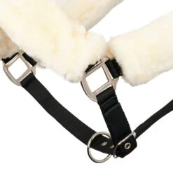 LeMieux Comfort Headcollar -Lemieux 478c67d2 b58d 4f8f 873c 70ee2279e181