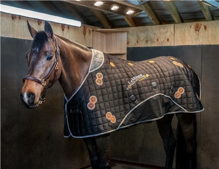 LeMieux Conductive Magno Rug 4 LeMieux Conductive Magno Rug - Image 2