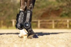 LeMieux Derby ProJump Tendon Boot 21 LeMieux Derby ProJump Tendon Boot -Lemieux 498b6dfc a4a6 4bcc 85cd 067561ddbd99 86dff216 e401 40f6 885a f86bae06eb5a