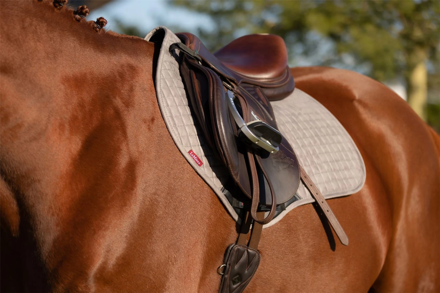 LeMieux Suede Close Contact Square 12 LeMieux Suede Close Contact Square - Image 10