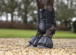 LeMieux Rubber Bell Boots -Lemieux 4d5fd436 2f55 480a a397 05976e12a5fd