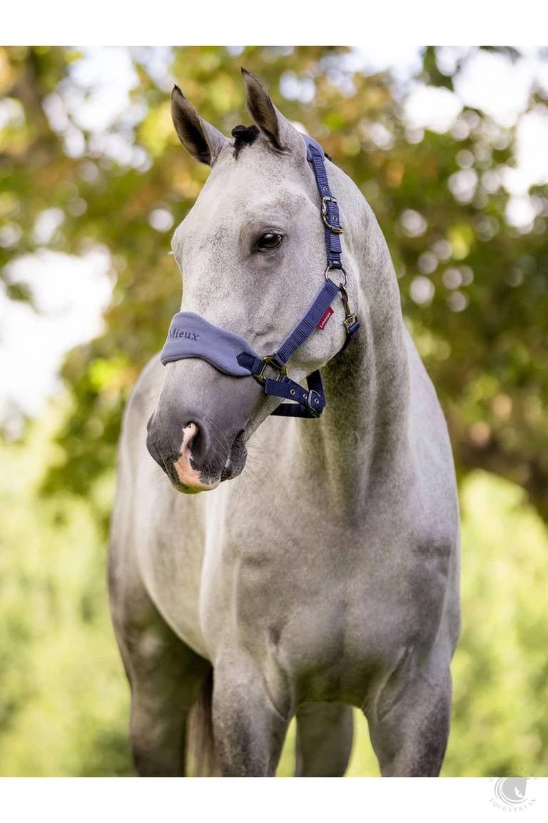 LeMieux Vogue Headcollar & Leadrope Indigo 4 LeMieux Vogue Headcollar & Leadrope Indigo - Image 2