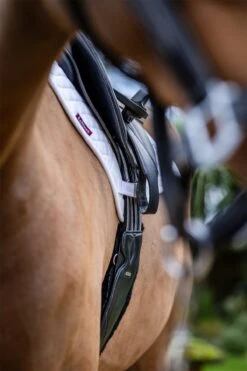 LeMieux Arika Simuwool Contoured Long Stud Girth 9 LeMieux Arika Simuwool Contoured Long Stud Girth -Lemieux 4e7e92d5 9218 40b1 b1d5 2af2d1436059 31bb851a 78f7 4e65 8297 dd11dbbb9a4d