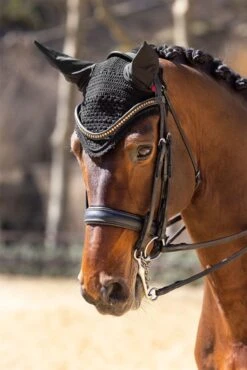 LeMieux Vogue Fly Hood -Lemieux 4f62f992 8673 41fb 8546 f3259f1b5998 58a6e68b cfd5 4ea9 b44e a3c30fade1b8