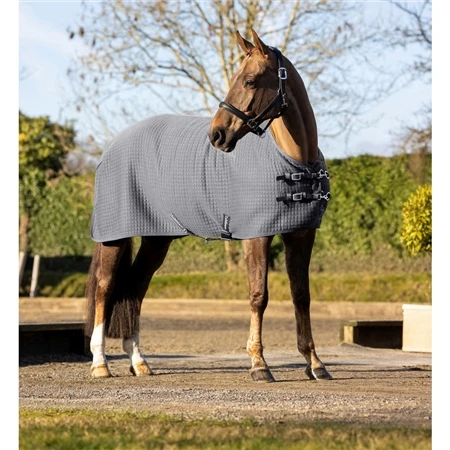 LeMieux Arika Clima-Tek Rug 4 LeMieux Arika Clima-Tek Rug - Image 2