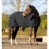 LeMieux Arika Clima-Tek Rug -Lemieux 50463