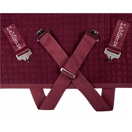 LeMieux Arika Clima-Tek Rug 7 LeMieux Arika Clima-Tek Rug - Image 5