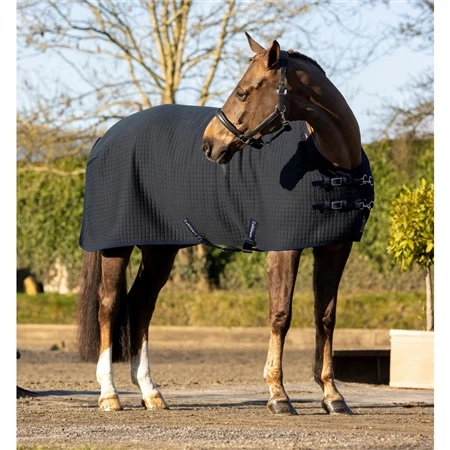 LeMieux Arika Clima-Tek Rug 3 LeMieux Arika Clima-Tek Rug
