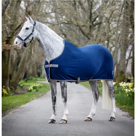 LeMieux Arika Jersey-Tek Rug 5 LeMieux Arika Jersey-Tek Rug - Image 3