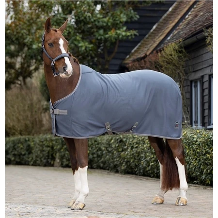 LeMieux Arika Jersey-Tek Rug 3 LeMieux Arika Jersey-Tek Rug