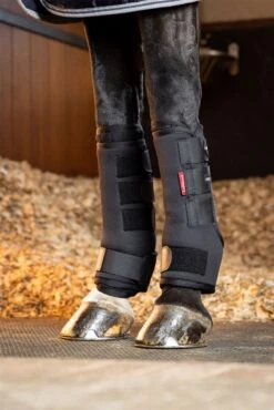 LeMieux Stable Boots -Lemieux 50c4b009 d56b 4dff b93b 6a71cf993833 9215efbd 7cbe 4603 a875 0299c8601299