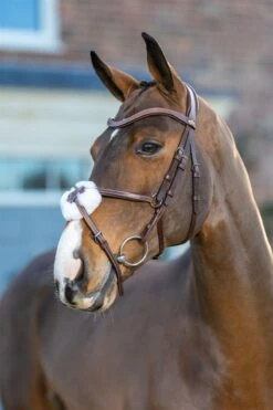 LeMieux Arika Grackle Bridle 19 LeMieux Arika Grackle Bridle -Lemieux 51643fee 6c24 41de b524 1795eaafc97a b7f2a0b4 cd86 4fa8 a2cb b43b0b09132a