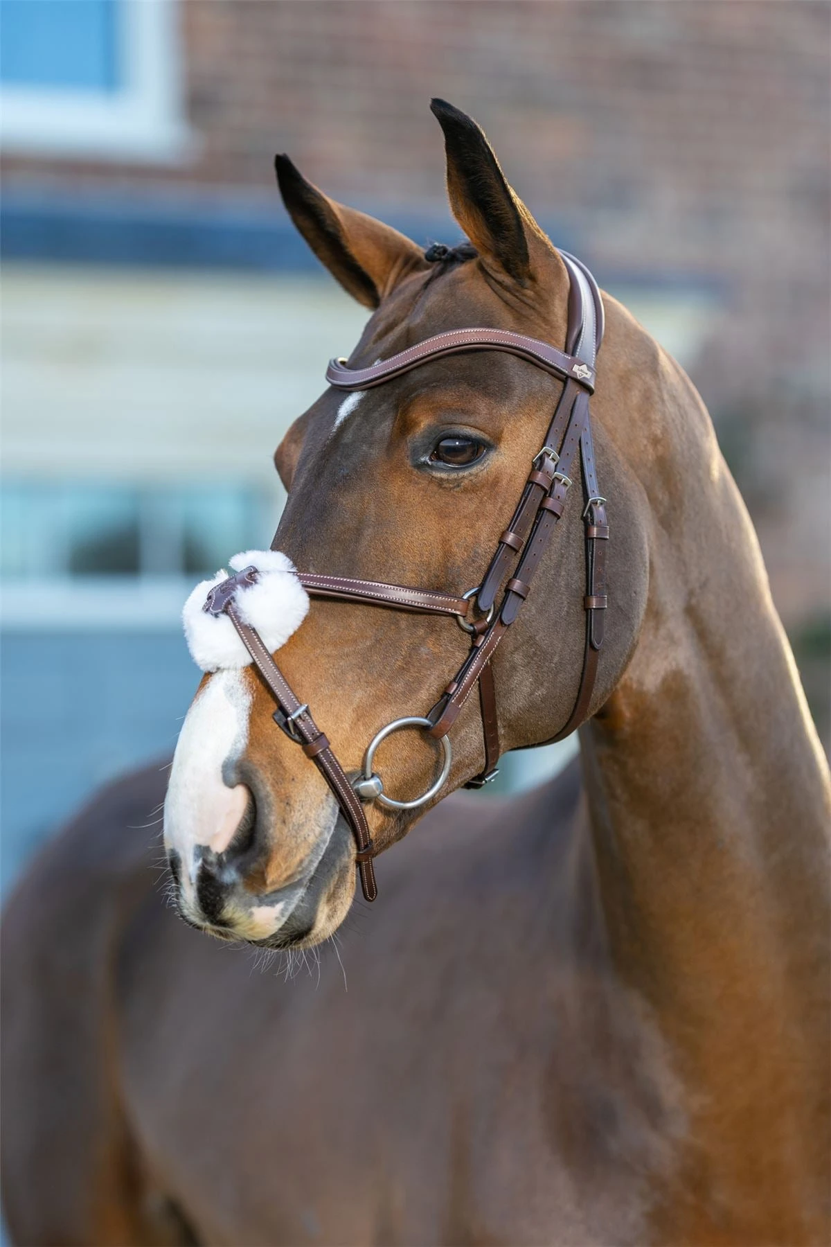 LeMieux Arika Grackle Bridle 8 LeMieux Arika Grackle Bridle - Image 6