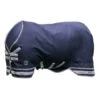 LeMieux Arika Storm-Tek Medium Weight Turnout Rug 2 LeMieux Arika Storm-Tek Medium Weight Turnout Rug -Lemieux 52380