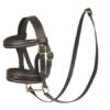 LeMieux Toy Pony Bridle