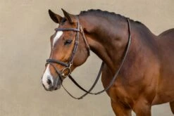 LeMieux Work Bridle -Lemieux 55460f69 cd50 47fb 9975 a7fc03ab4ba7 c7bca969 3fbc 42d9 90ac d80d7b06ff82