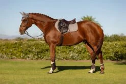 LeMieux Suede Close Contact Square 30 LeMieux Suede Close Contact Square -Lemieux 55e4d4e0 1b87 4034 87e8 224aae2f2ba3 d592d42a af21 4974 8635 8788cbf64200