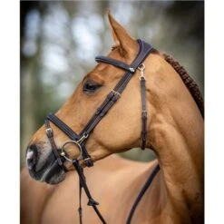 LeMieux Work Bridle -Lemieux 56348 2