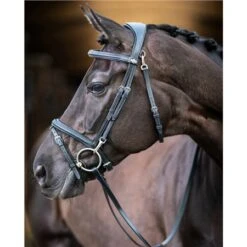 LeMieux Work Bridle