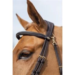 LeMieux Work Bridle -Lemieux 56348 3