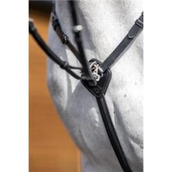 LeMieux Breastplate With Detachable Martingale 10 LeMieux Breastplate With Detachable Martingale -Lemieux 56349 3