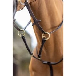 LeMieux Running Martingale -Lemieux 56350 3