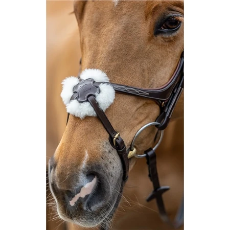 LeMieux Grackle Bridle 4 LeMieux Grackle Bridle - Image 2