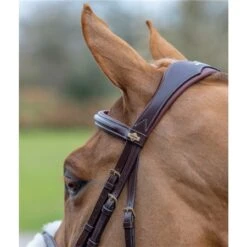 LeMieux Grackle Bridle 10 LeMieux Grackle Bridle -Lemieux 56357 2