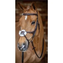 LeMieux Grackle Bridle