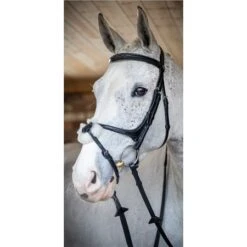 LeMieux Grackle Bridle 11 LeMieux Grackle Bridle -Lemieux 56357 3