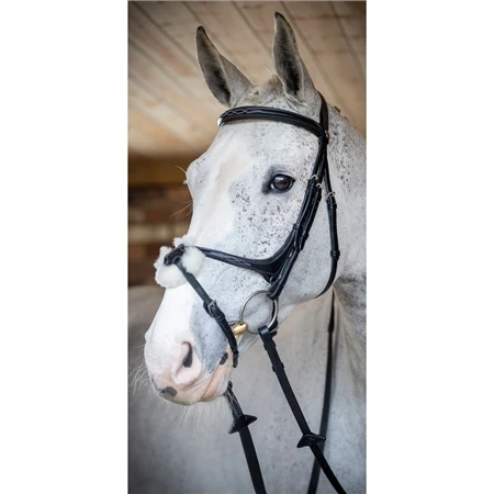 LeMieux Grackle Bridle 6 LeMieux Grackle Bridle - Image 4