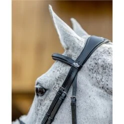 LeMieux Grackle Bridle 12 LeMieux Grackle Bridle -Lemieux 56357 4