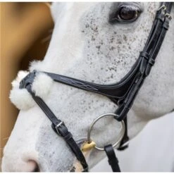LeMieux Grackle Bridle 13 LeMieux Grackle Bridle -Lemieux 56357 5