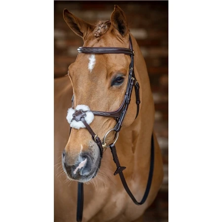 LeMieux Grackle Bridle 3 LeMieux Grackle Bridle