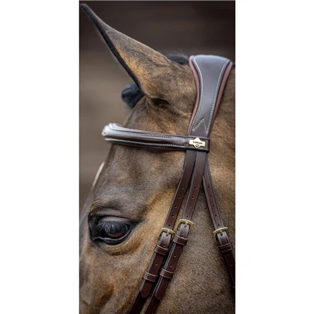 LeMieux Competition Bridle 4 LeMieux Competition Bridle - Image 2