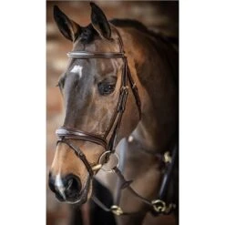 LeMieux Competition Bridle