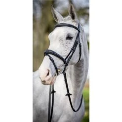 LeMieux Competition Bridle 11 LeMieux Competition Bridle -Lemieux 56358 3