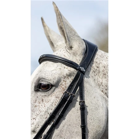 LeMieux Competition Bridle 7 LeMieux Competition Bridle - Image 5