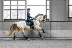 LeMieux Dressage Work Pad 24 LeMieux Dressage Work Pad -Lemieux 563d5c3d 447e 40ad b267 39025d3c66eb c1d6f70e 969b 4427 a3d6 a1f50c8ad564