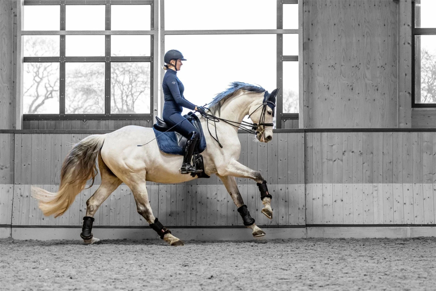 LeMieux Dressage Work Pad 13 LeMieux Dressage Work Pad - Image 11