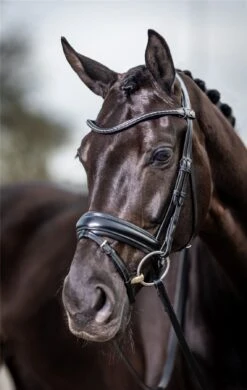 LeMieux Classic Dressage Bridle