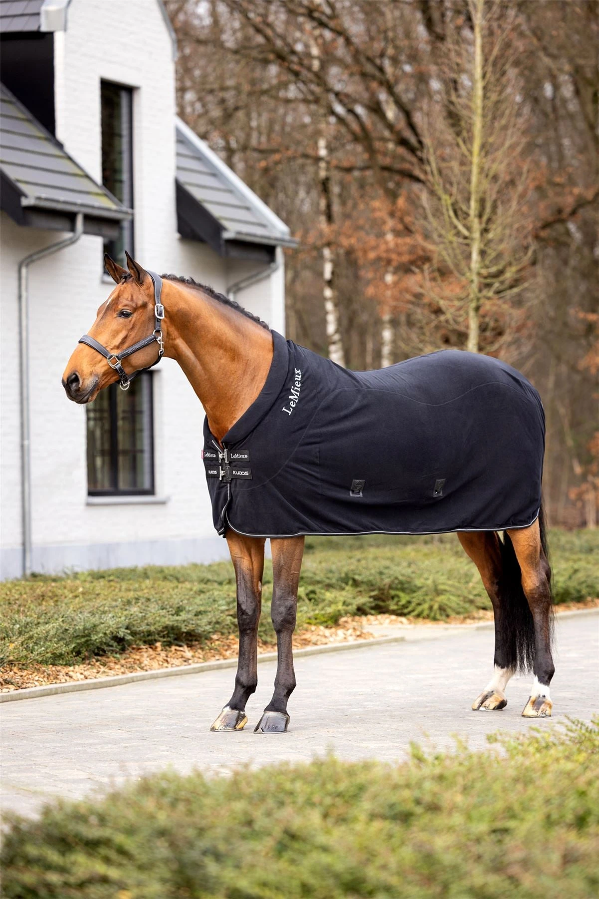 LeMieux Kudos Fleece Cooler Rug 5 LeMieux Kudos Fleece Cooler Rug - Image 3