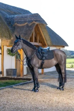 LeMieux Jump Work Pad -Lemieux 5fb1fc38 abd4 40b0 9cd7 d51cdeb55b97