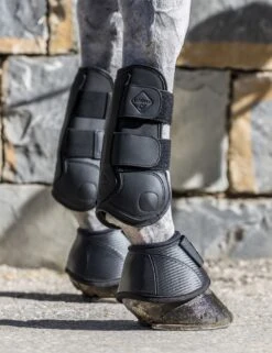 LeMieux Capella Tendon Boots 23 LeMieux Capella Tendon Boots -Lemieux 60cb0f62 1333 42a4 94dd 74a89f0f41a8 219c1160 4420 47b7 ab7a e050de66db21