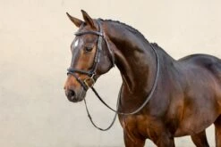 LeMieux Work Bridle -Lemieux 612e5da0 b5c5 4c2d 8898 0b5d50319f9e 98032483 579e 4696 8893 c4ab18c240b3