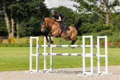 LeMieux Puissance Suede CC Pad -Lemieux 62dbd656 1dd9 49f6 bfa8 1fc45d8cbf54 14f829a7 eee6 4aff ad81 0942554adb86